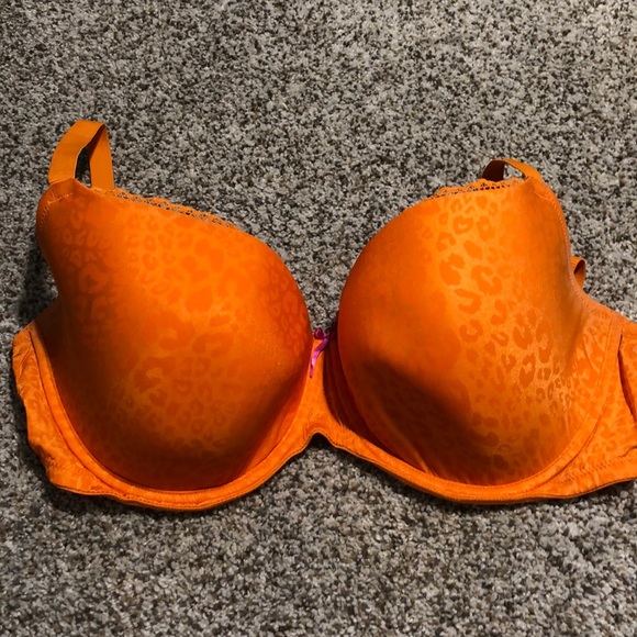 Cleo Maddie Bra - Picture 2 of 5